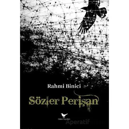Sözler Perişan - Rahmi Binici - Günce Yayınları