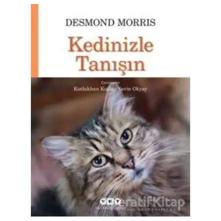 Kedinizle Tanışın - Desmond Morris - Yapı Kredi Yayınları