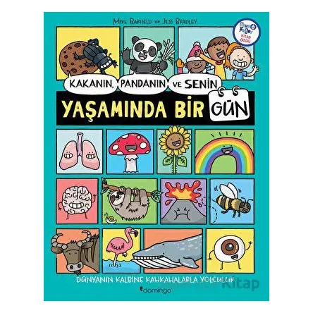Kakanın, Pandanın ve Senin Yaşamında Bir Gün - Mike Barfield - Domingo Yayınevi