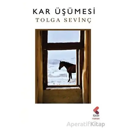 Kar Üşümesi - Tolga Sevinç - Klaros Yayınları