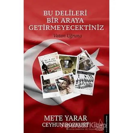 Bu Delileri Bir Araya Getirmeyecektiniz - Ceyhun Bozkurt - Destek Yayınları