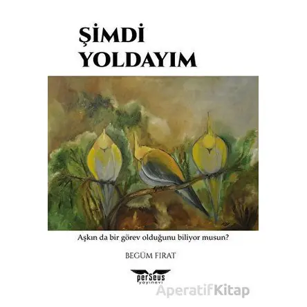 Şimdi Yoldayım - Begüm Fırat - Perseus