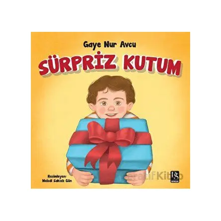 Sürpriz Kutum - Gaye Nur Avcu - DS Yayınları