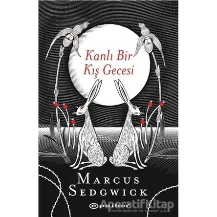 Kanlı Bir Kış Gecesi - Marcus Sedgwick - Epsilon Yayınevi