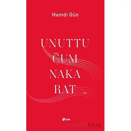 Unuttuğum Nakarat - Hamdi Gün - Şule Yayınları