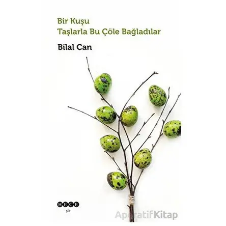Bir Kuşu Taşlarla Bu Çöle Bağladılar - Bilal Can - Hece Yayınları