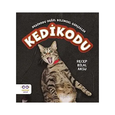 Kedikodu - Recep Bilal Aksu - Cezve Çocuk