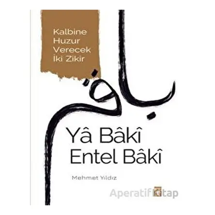 Ya Baki Entel Baki - Mehmet Yıldız - Timaş Yayınları