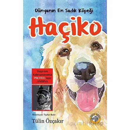 Dünyanın En Sadık Köpeği Haçiko - Tülin Özçakır - Akıllı Zebra