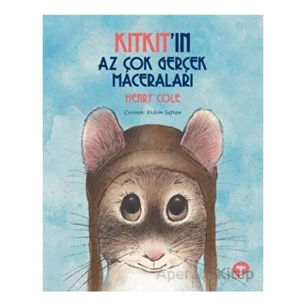 Kıtkıtın Az Çok Gerçek Maceraları - Henry Cole - Turkuvaz Çocuk