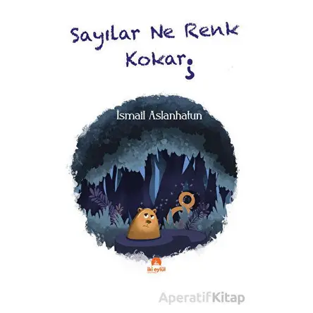 Sayılar Ne Renk Kokar - İsmail Aslanhatun - İki Eylül Yayınevi