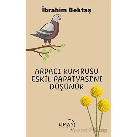 Arpacı Kumrusu Eskil Papatyasını Düşünür - İbrahim Bektaş - Liman Yayınevi
