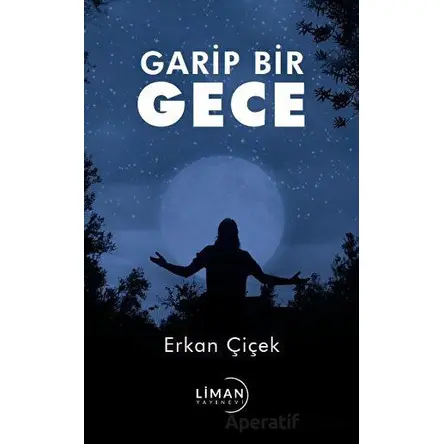 Garip Bir Gece - Erkan Çiçek - Liman Yayınevi