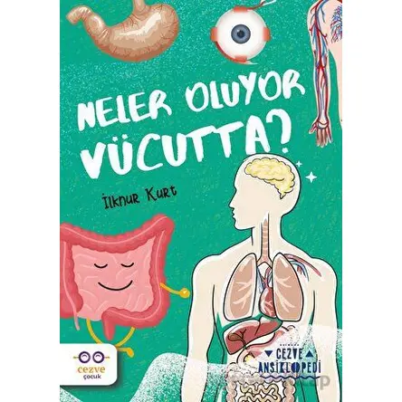 Neler Oluyor Vücutta? – Cezve Ansiklopedi - İlknur Kurt - Cezve Çocuk