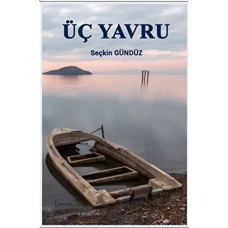 Üç Yavru - Seçkin Gündüz - İkinci Adam Yayınları