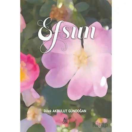 Efsun - Dilek Akbulut Gündoğan - Baygenç Yayıncılık