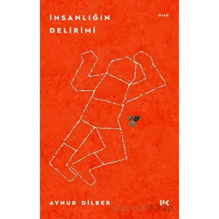 İnsanlığın Delirimi - Aynur Dilber - Profil Kitap