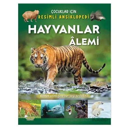 Hayvanlar Alemi - Çocuklar İçin Resimli Ansiklopedi - Kolektif - Selimer Yayınları