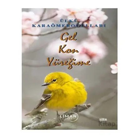 Gel Kon Yüreğime - Ülkü Karaömeroğulları - Liman Yayınevi
