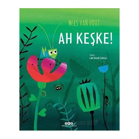 Ah Keşke! - Mies Van Hout - Yapı Kredi Yayınları