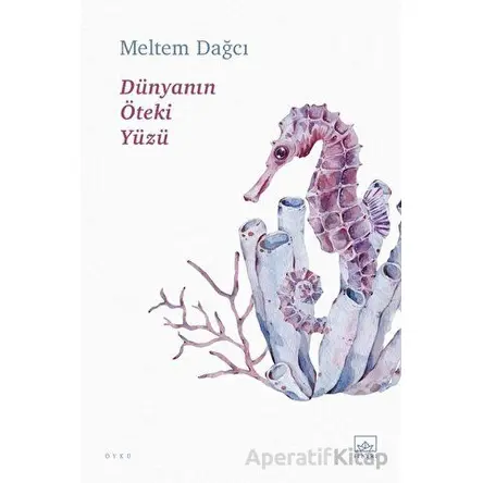 Dünyanın Öteki Yüzü - Meltem Dağcı - İthaki Yayınları