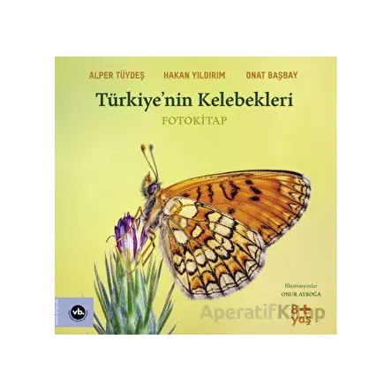 Türkiye’nin Kelebekleri - Onat Başbay - Vakıfbank Kültür Yayınları