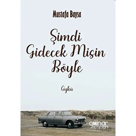 Şimdi Gidecek Misin Böyle - Mustafa Baysa - Gülnar Yayınları