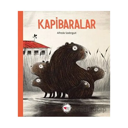 Kapibaralar - Alfredo Soderguit - Can Çocuk Yayınları