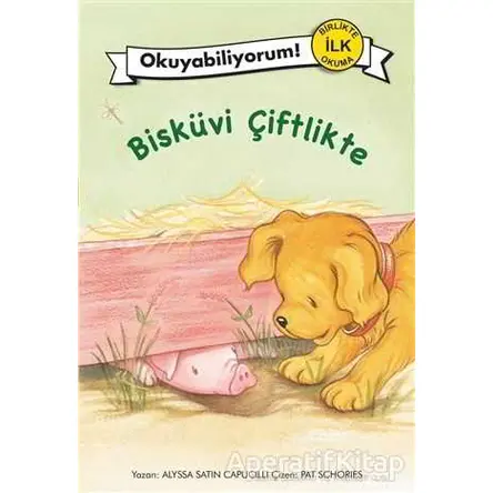 Bisküvi Çiftlikte - Alyssa Satin Capucilli - Pegasus Çocuk Yayınları
