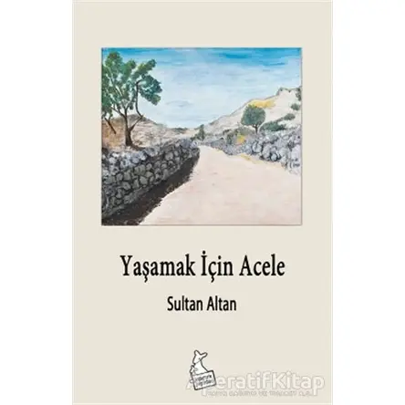 Yaşamak İçin Acele - Sultan Altan - Kanguru Yayınları