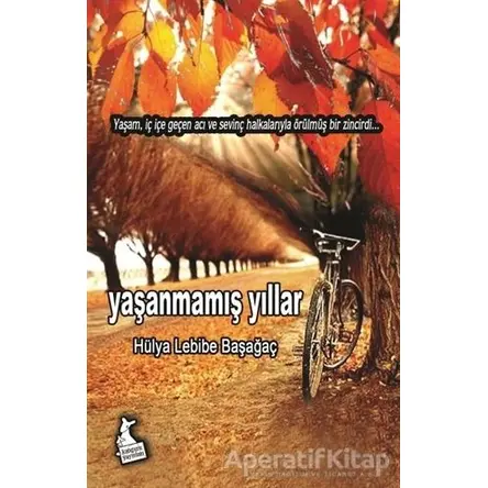 Yaşanmamış Yıllar - Hülya Lebibe Başağaç - Kanguru Yayınları