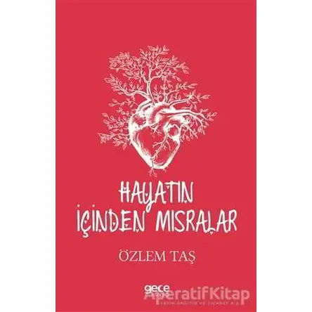 Hayatın İçinden Mısralar - Özlem Taş - Gece Kitaplığı