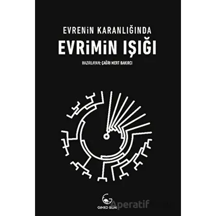 Evrenin Karanlığında Evrimin Işığı - Kolektif - Ginko Kitap