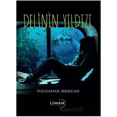 Delinin Yıldızı - Tolgahan Mercan - Liman Yayınevi