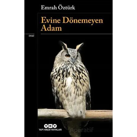 Evine Dönemeyen Adam - Emrah Öztürk - Yapı Kredi Yayınları