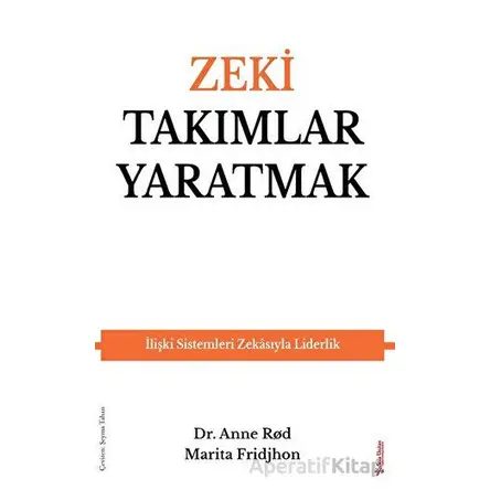 Zeki Takımlar Yaratmak - Marita Fridjhon - Sola Unitas