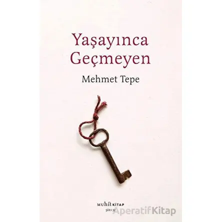 Yaşayınca Geçmeyen - Mehmet Tepe - Muhit Kitap