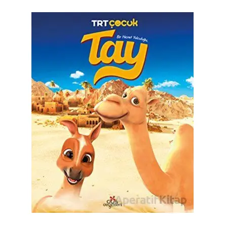 Tay - Bir Hicret Yolculuğu - Kolektif - Düş Değirmeni