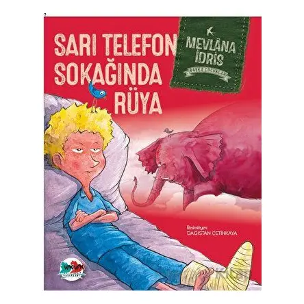 Sarı Telefon Sokağında Rüya - Mevlana İdris - Vak Vak Yayınları