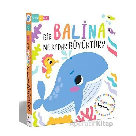 Bir Balina Ne Kadar Büyüktür? - Lisa Regan - İndigo Çocuk