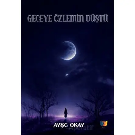Geceye Özlemin Düştü - Ayşe Okay - Ateş Yayınları