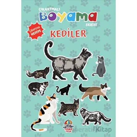 Çıkartmalı Boyama Serisi - Kediler - Anonim - Yağmur Çocuk