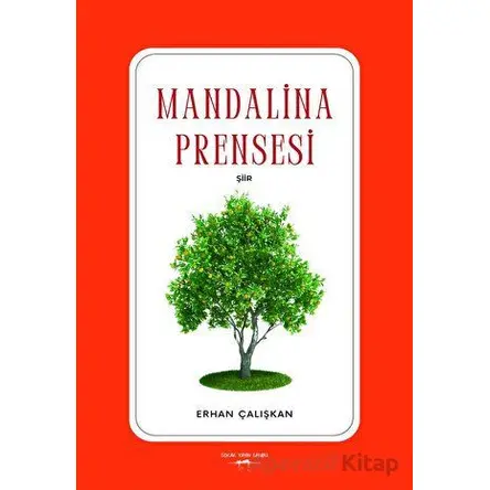Mandalina Prensesi - Erhan Çalışkan - Sokak Kitapları Yayınları
