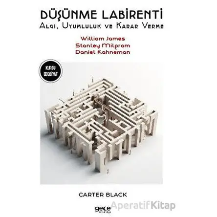Düşünme Labirentleri - Stanley Milgram - Gece Kitaplığı