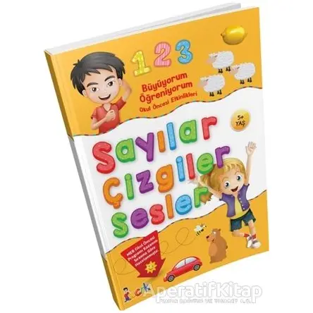 Büyüyorum Öğreniyorum Okul Öncesi Etkinlikleri Sayılar Çizgiler Sesler