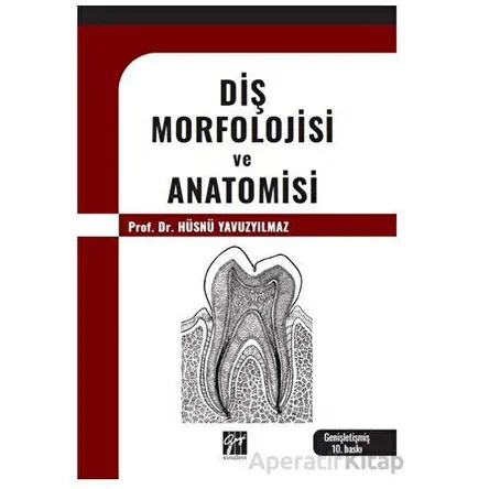Diş Morfolojisi ve Anatomisi - Hüsnü Yavuzyılmaz - Gazi Kitabevi