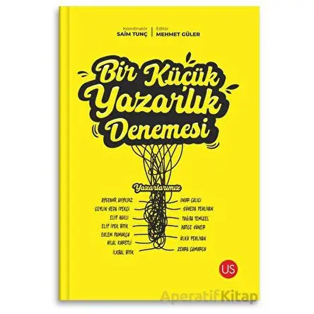 Bir Küçük Yazarlık Denemesi - Kolektif - US Yayınları