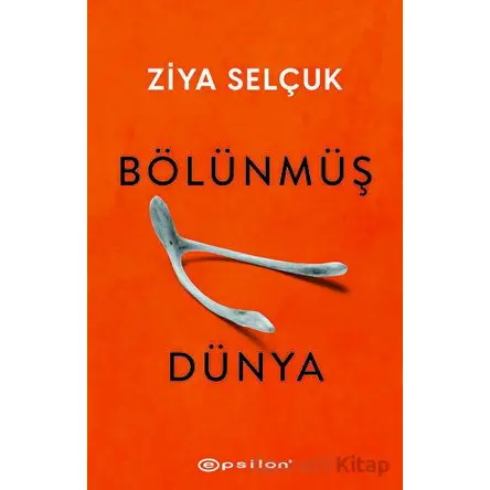 Bölünmüş Dünya - Ziya Selçuk - Epsilon Yayınevi