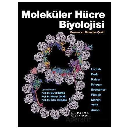 Moleküler Hücre Biyoloji - Kolektif - Palme Yayıncılık