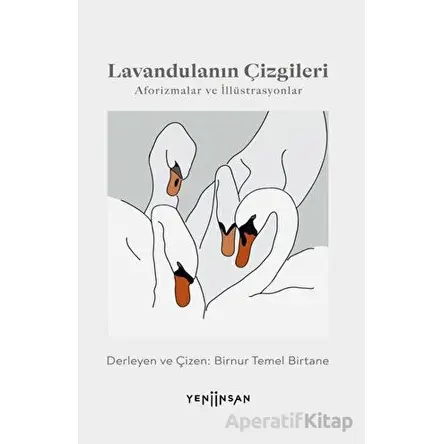 Lavandulanın Çizgileri - Birnur Temel Birtane - Yeni İnsan Yayınevi
